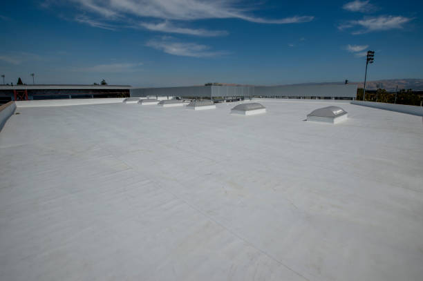 Best Flat Roofing  in St Clair, MI