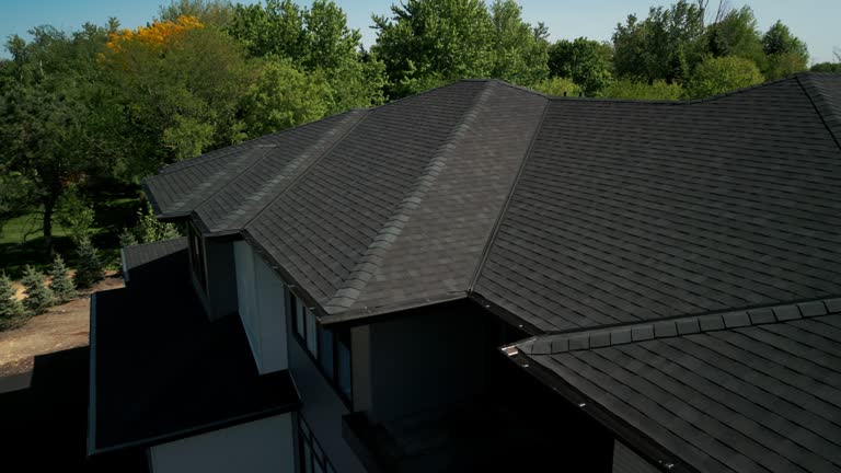 Best Roof Insulation Installation  in St Clair, MI