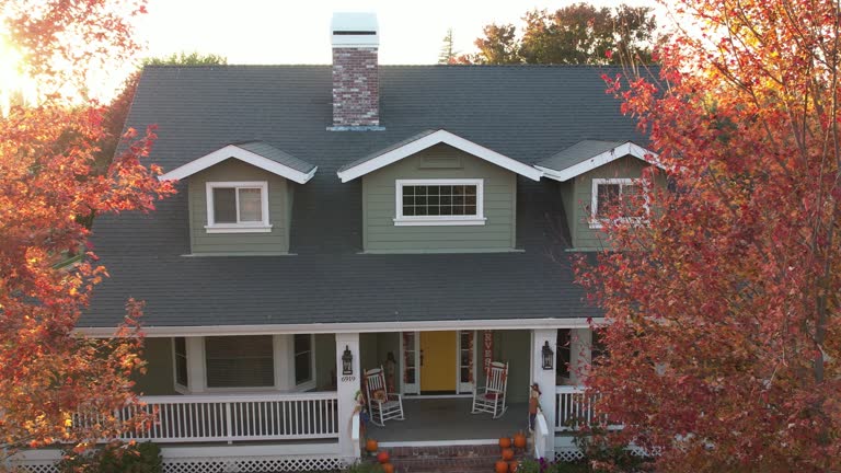 Best Solar Panel Roofing Installation  in St Clair, MI
