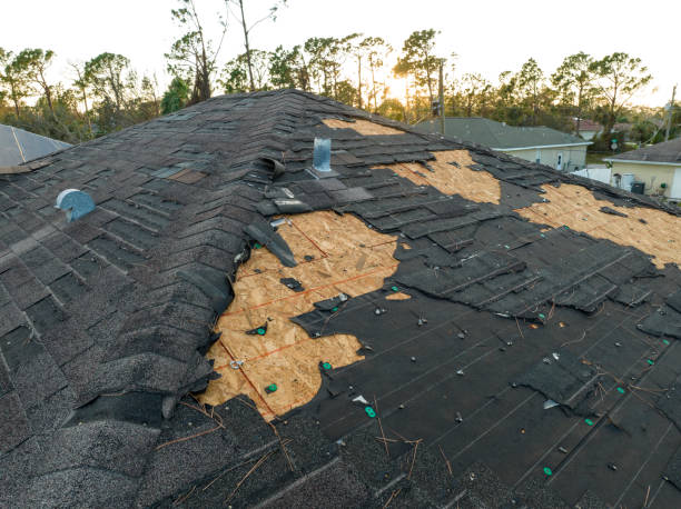 Best Cold Roofs  in St Clair, MI