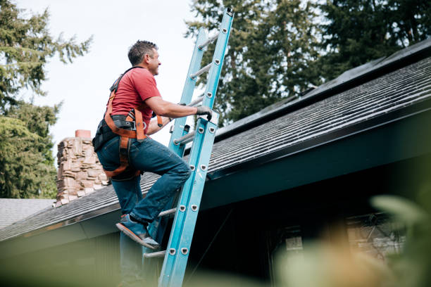 Best Skylight Installation and Repair  in St Clair, MI
